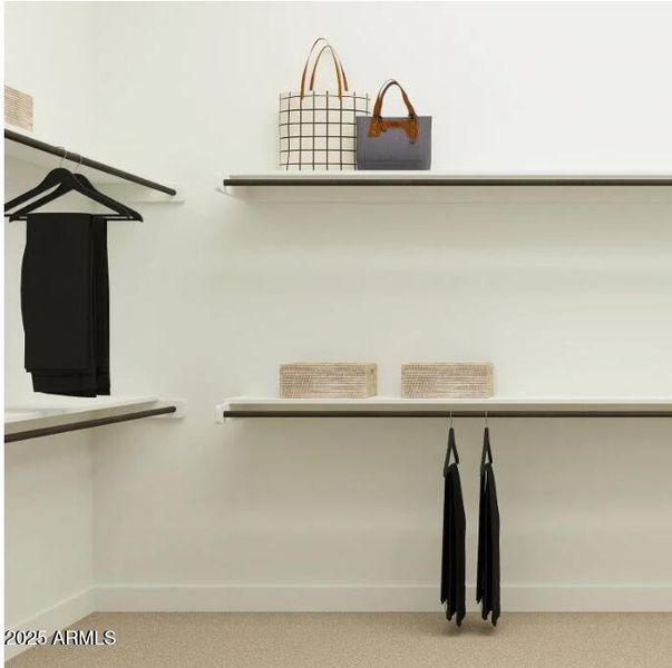 Owner's Walk in Closet Owner's Walk in Closet