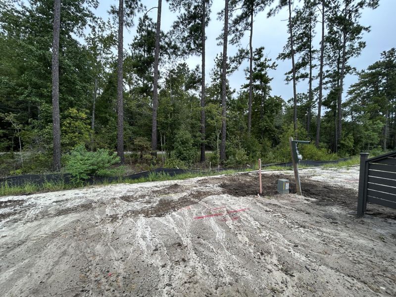 Image 43 of a home in Hammock Walk at Nexton.