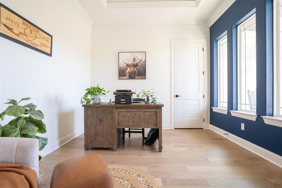 Office area with light wood finished floors and ornamental molding Office area with light wood finished floors and ornamental molding
