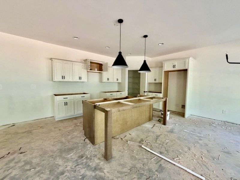 In-progress construction of a new home in Forrest Farms, Greenville, GA (Image 5).