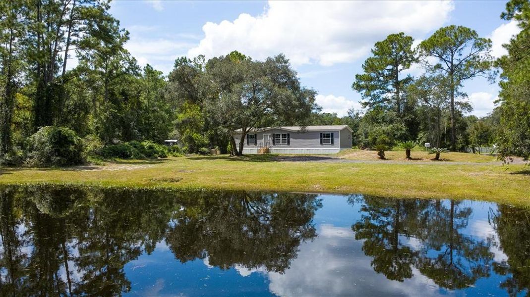 Natural landscape and outdoor views near in Bunnell (Image 21). Natural landscape and outdoor views near in Bunnell (Image 21).