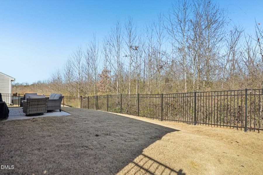 38-web-or-mls-matthiola-S1301-038