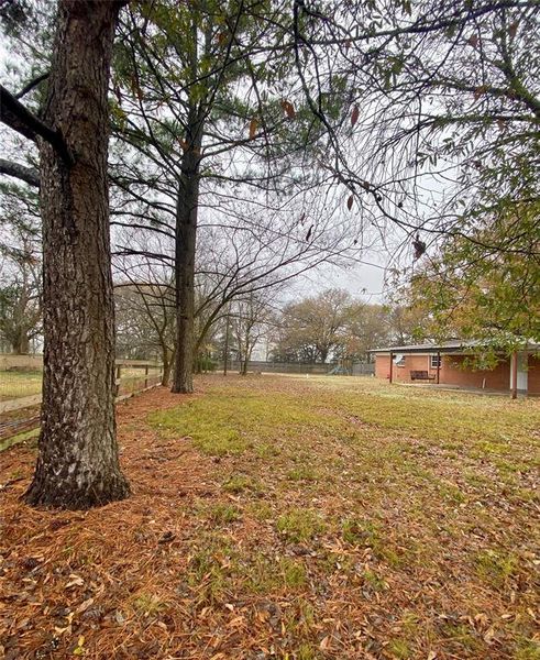 Fenced backyard with big shade trees Fenced backyard with big shade trees