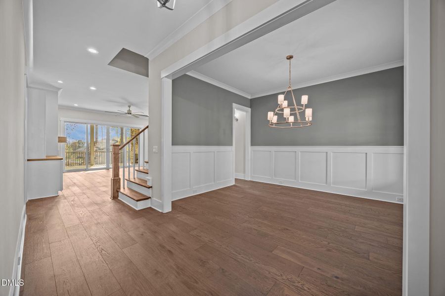 13-web-or-mls-2N6A4494