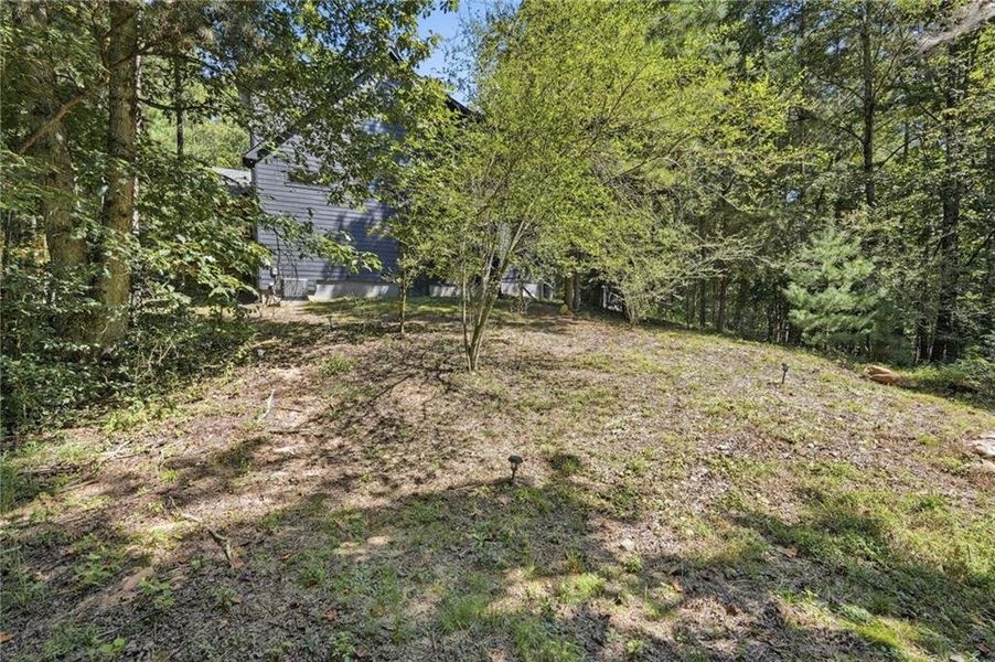 Natural landscape and outdoor views near  in Ellijay (Image 52).