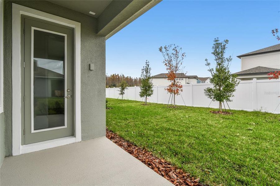 Exterior details and patio area of a home in Chapel Crossings, Wesley Chapel (Image 3).
