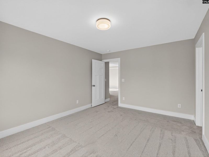 Spacious, unfurnished interior of a new home in Collins Cove, Chapin (Image 53).