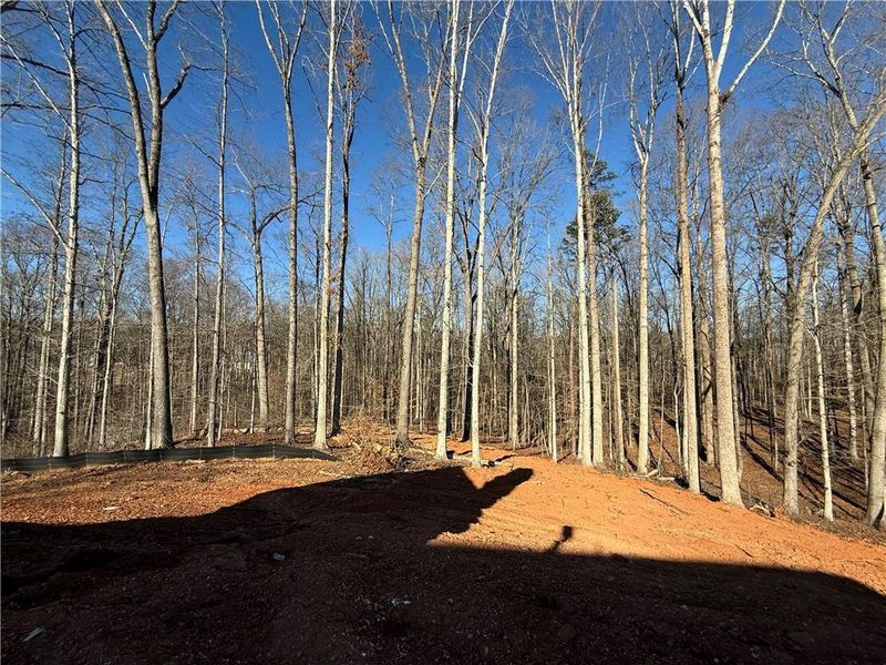 Natural landscape and outdoor views near  in Pendergrass (Image 33).