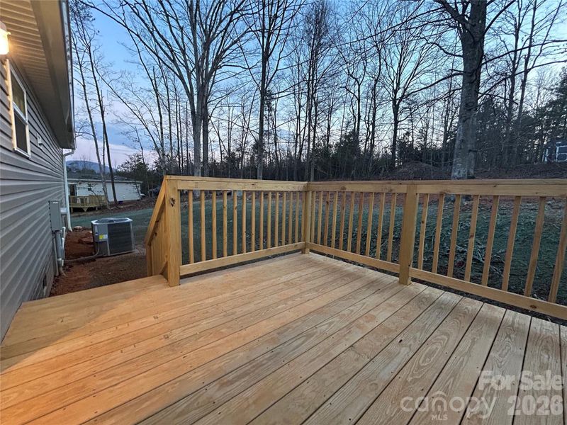 Spacious Back Deck wit View