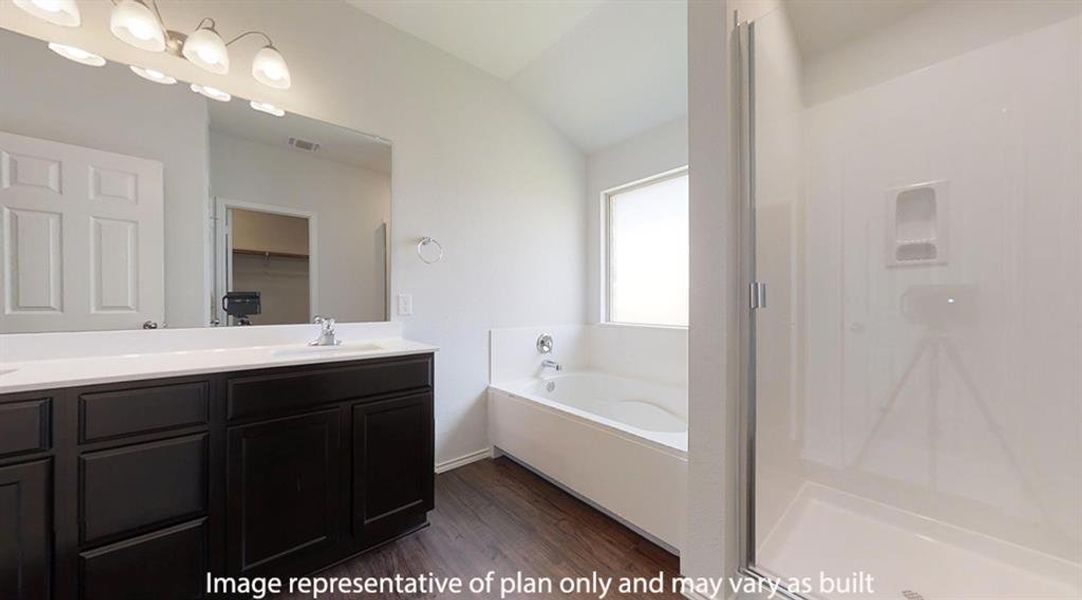 Full bathroom with dark wood-style flooring, a garden tub, vanity, a stall shower, and a spacious closet Full bathroom with dark wood-style flooring, a garden tub, vanity, a stall shower, and a spacious closet