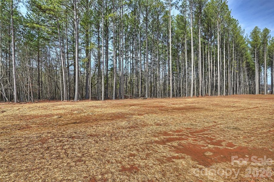 Site preparation for new homesites in , Lincolnton (Image 37).