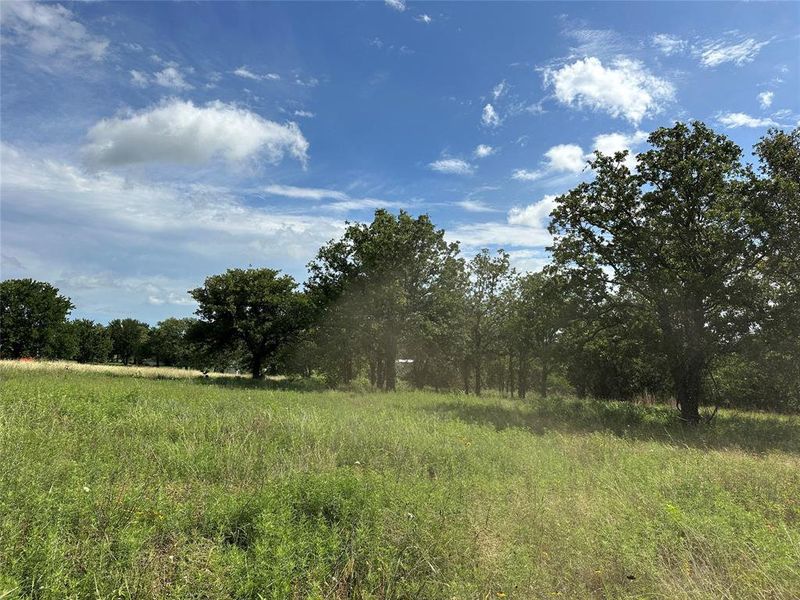 Expansive open field with natural grass Expansive open field with natural grass