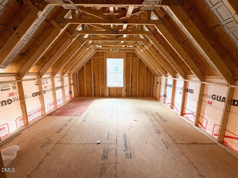 Photo Mar 23 2026, 2 47 04 PM (Medium)