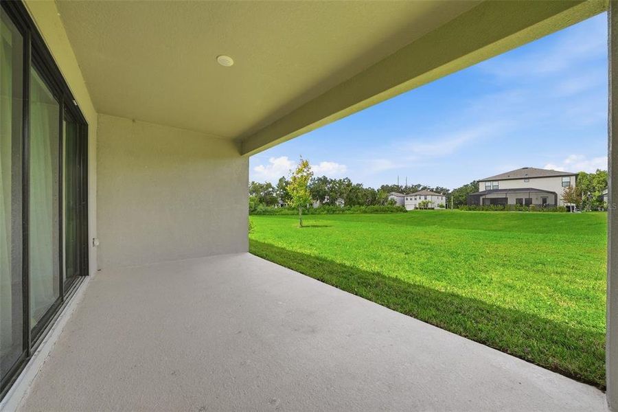 Exterior details and patio area of a home in Hawkstone, Lithia (Image 4).