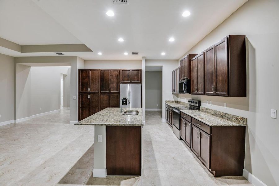 Lot-397-Marlberry-13861-Prickly-Cone-Cov Lot-397-Marlberry-13861-Prickly-Cone-Cov