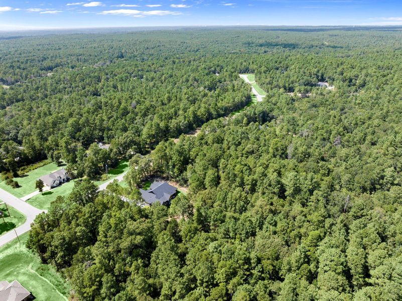 Natural landscape and outdoor views near  in Huntsville (Image 37).