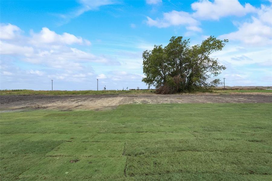 View of yard featuring a rural view