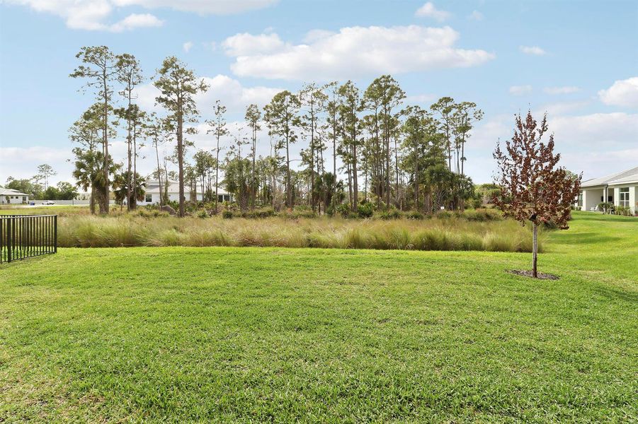 Preserve View Yard