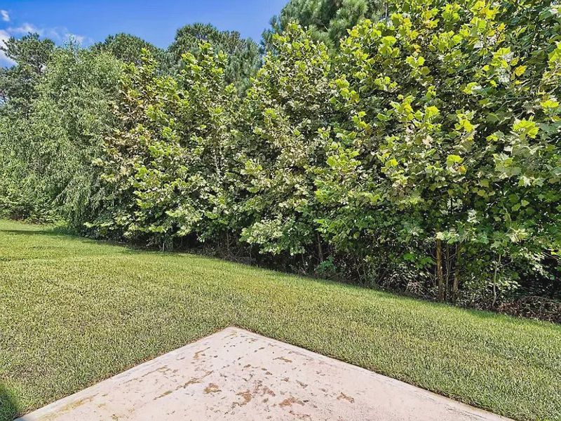 Natural landscape and outdoor views near Emanuel Creek in West Columbia (Image 14). Natural landscape and outdoor views near Emanuel Creek in West Columbia (Image 14).