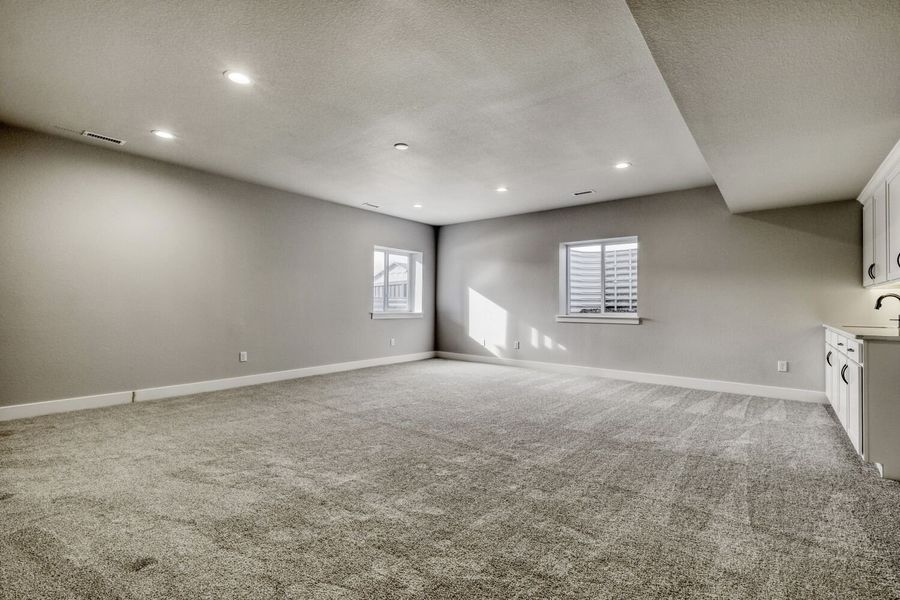 8423 David - Basement