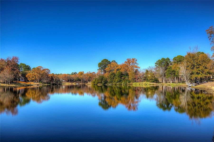 The lake is beautiful against the fall trees!