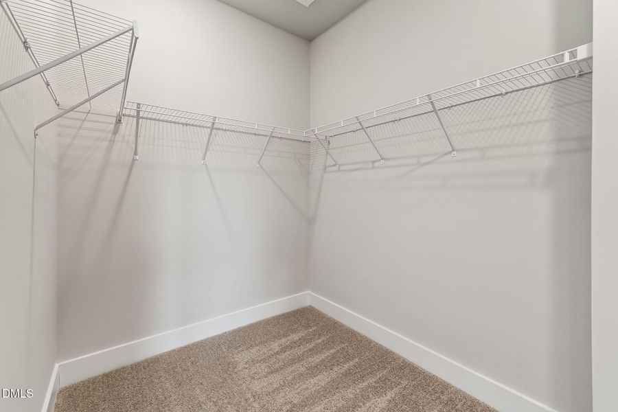 34-web-or-mls-DSC08466