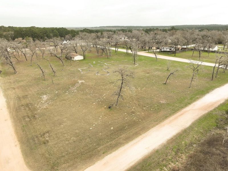 Scattered trees will bloom again soon and surround a small pavilion.