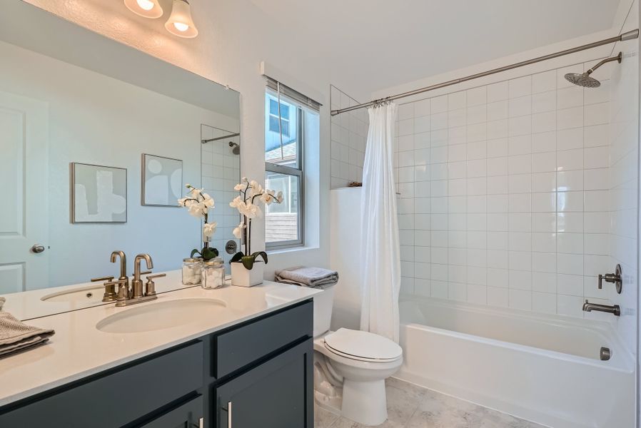 Urban Paired New Home in Arvada, CO Urban Paired New Home in Arvada, CO