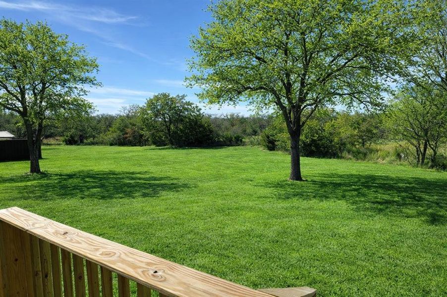Natural landscape and outdoor views near  in Nocona (Image 29).