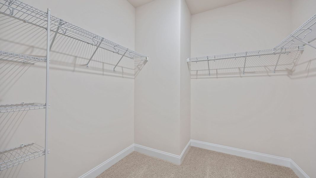 Spacious, unfurnished interior of a new home in Beaver Dam Crossing, Bailey (Image 30). Spacious, unfurnished interior of a new home in Beaver Dam Crossing, Bailey (Image 30).