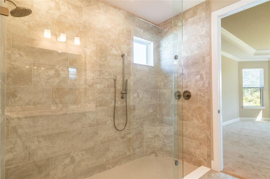 Close-up of interior finishes inside a home in Esplanade at Wiregrass Ranch, Wesley Chapel (Image 21).