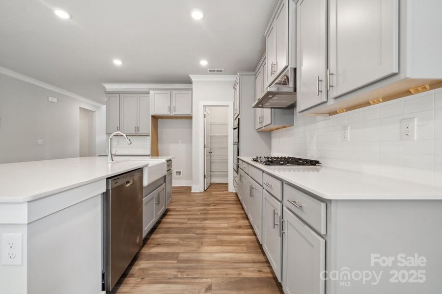 Furnished interior view inside a new home in Cannon Manor, Kannapolis (Image 3).