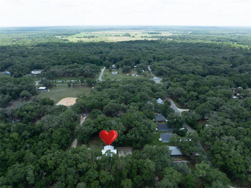 Natural landscape and outdoor views near  in Florahome (Image 39).
