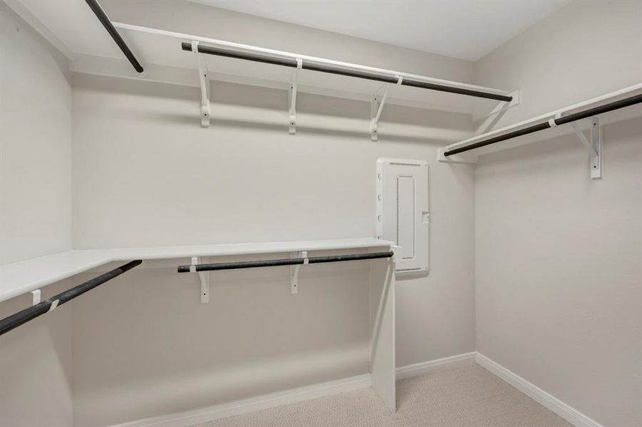 Walk in closet featuring light colored carpet and electric panel