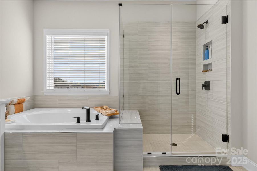 Primary Bath Tub and Shower Primary Bath Tub and Shower