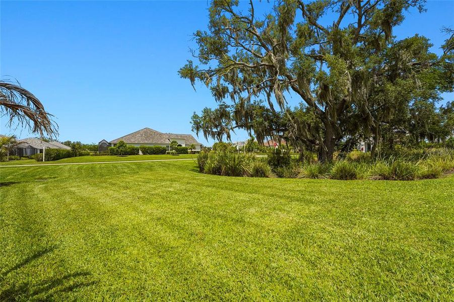 Natural landscape and outdoor views near  in Sarasota (Image 75).