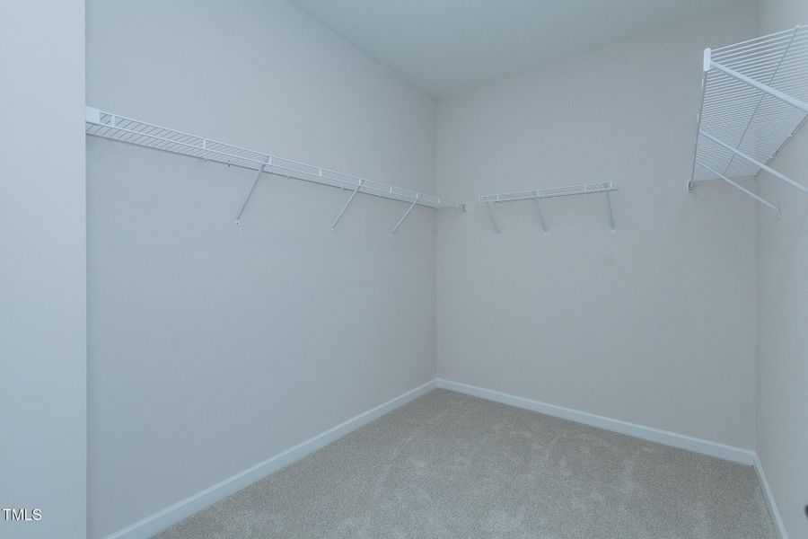 Representational Photo