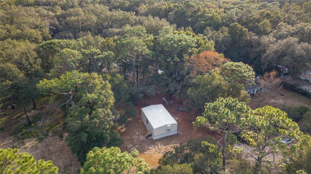 Natural landscape and outdoor views near  in Summerfield (Image 30).