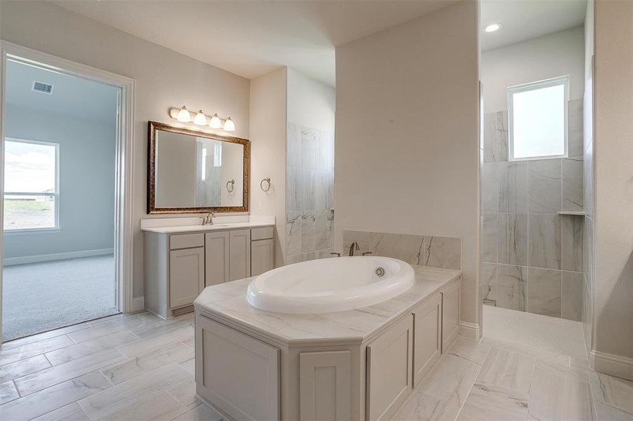 Bathroom with vanity and shower with separate bathtub