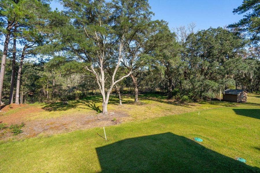 Natural landscape and outdoor views near  in Johns Island (Image 69).