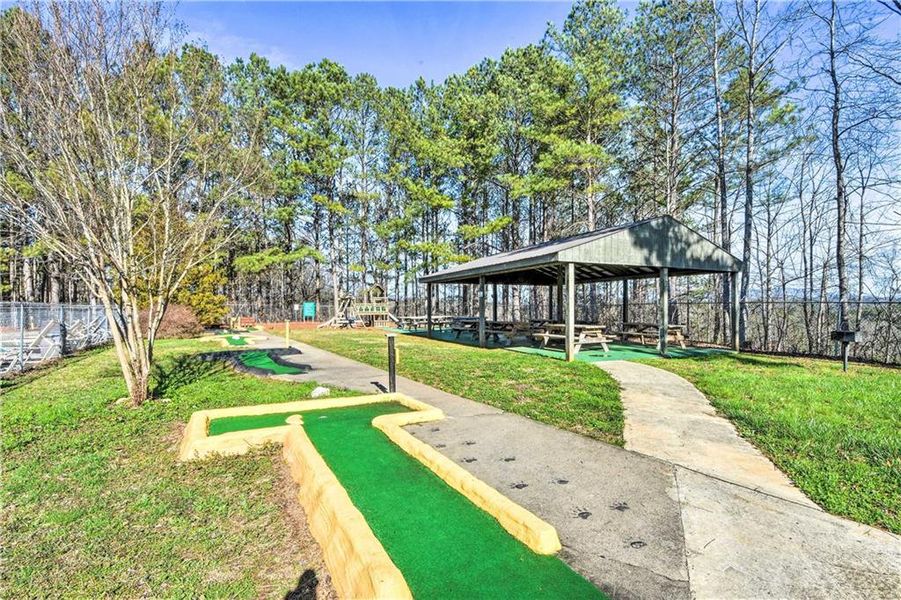 Community amenities in , Ellijay (Image 93).