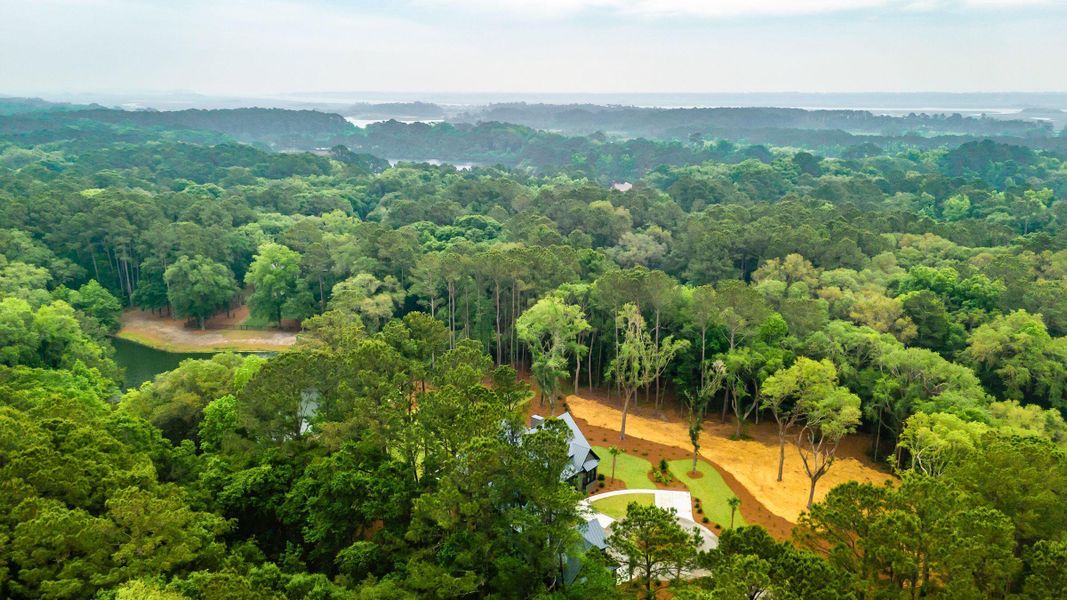 Natural landscape and outdoor views near  in Johns Island (Image 125).
