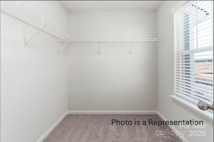 Hawthorn Primary Suite Walking Closet