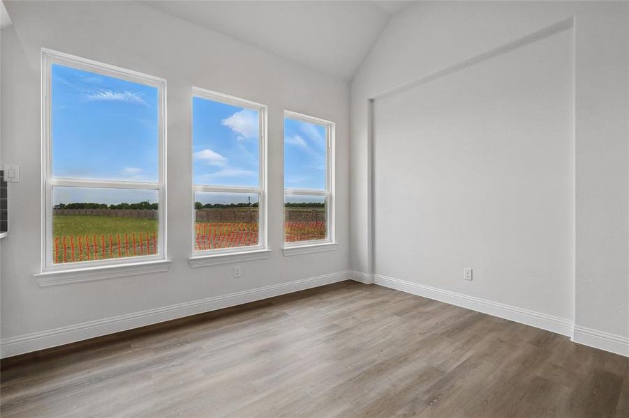 Spare room featuring baseboards, plenty of natural light, vaulted ceiling, and wood finished floors