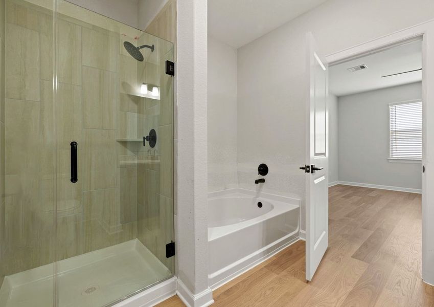 Step-in shower and seperate tub in the master bathroom