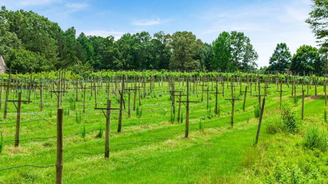 Image 51 of a home in Northwoods at Mirror Lake.