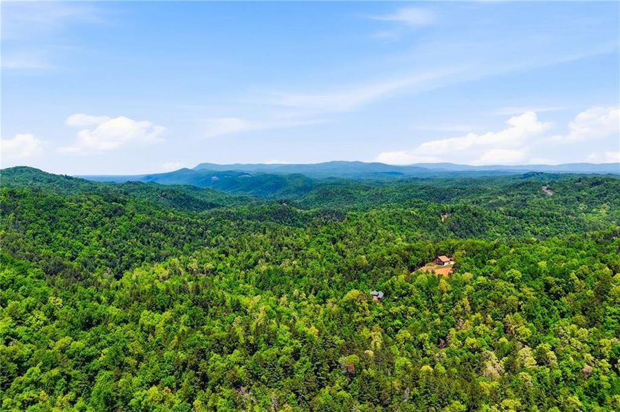 Natural landscape and outdoor views near  in Ranger (Image 55).
