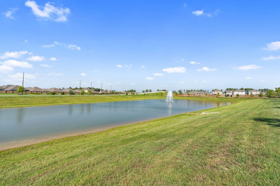 Natural landscape and outdoor views near  in Houston (Image 31).