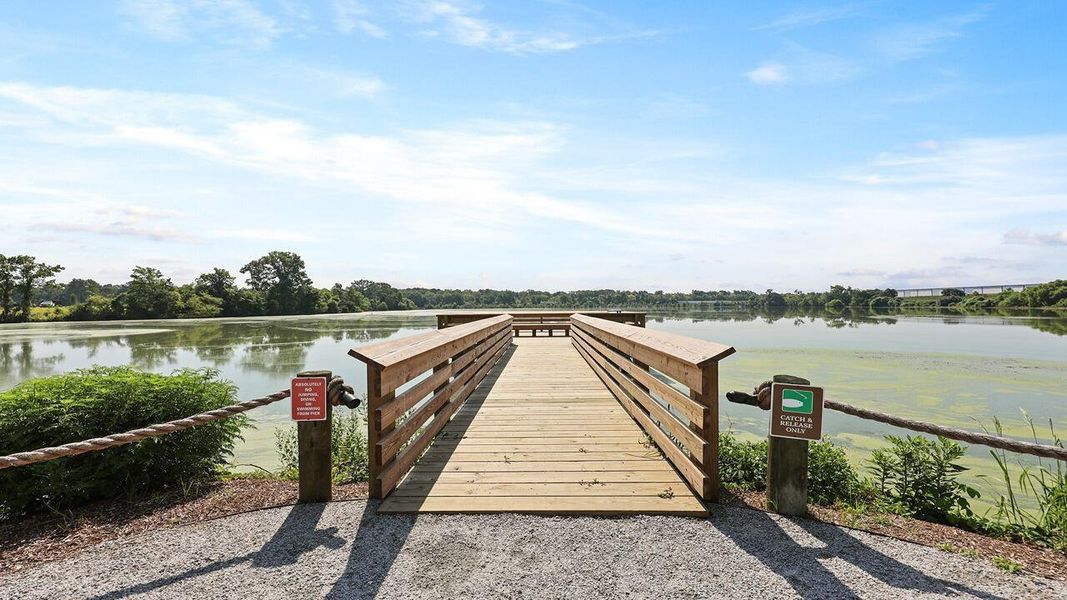 Image 24 of a home in Carolina Groves.