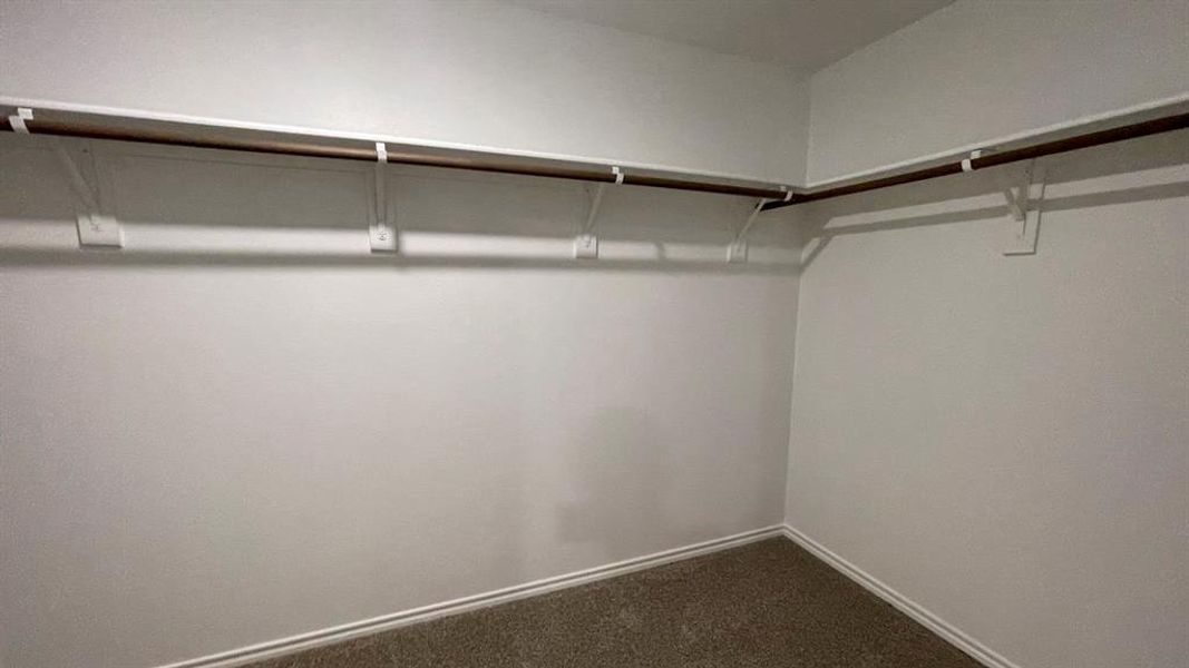 Spacious closet featuring white walls, carpet flooring, baseboard trim, and a built-in hanging rod with shelving Spacious closet featuring white walls, carpet flooring, baseboard trim, and a built-in hanging rod with shelving